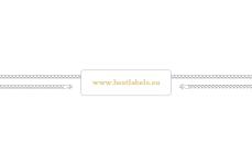 Garment Seal Tags Model ST-M249